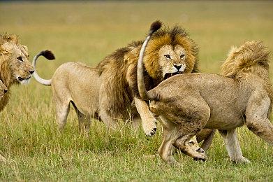 《使命召唤：现代战争3》和《现代战争2》画面对比